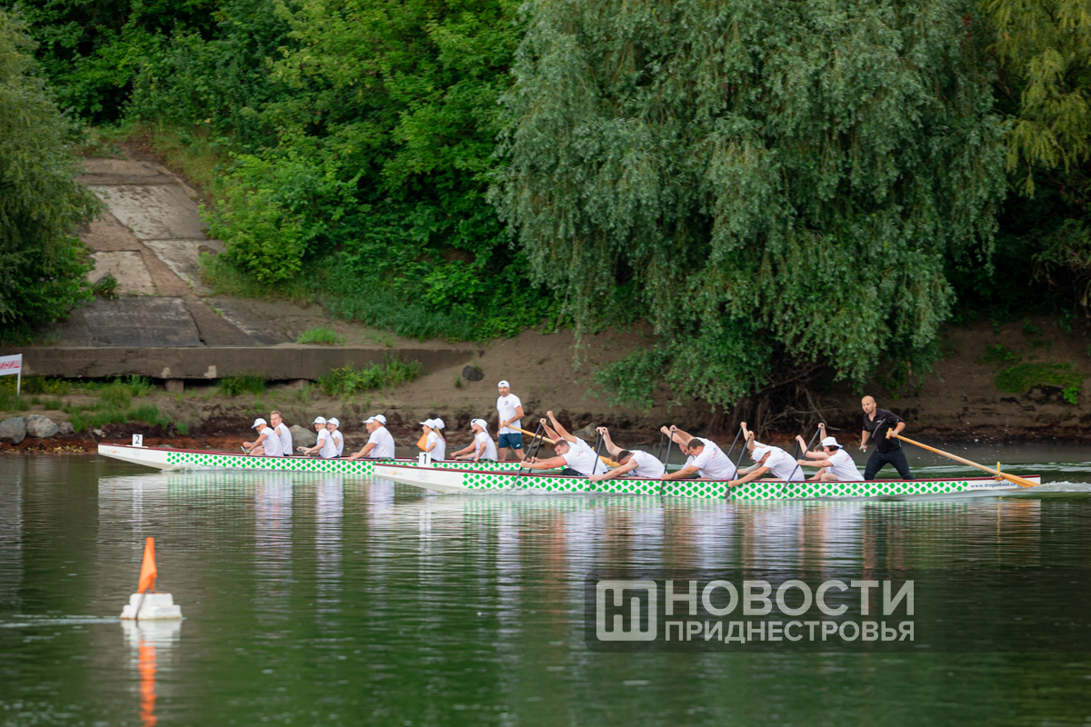 регата
