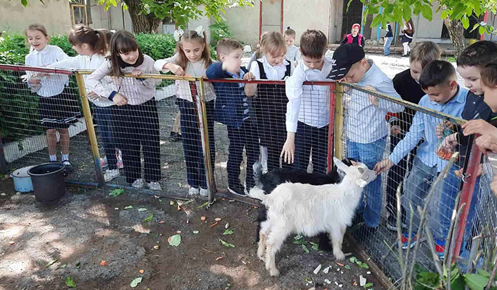 экскурсии