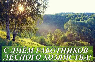 день работников леса