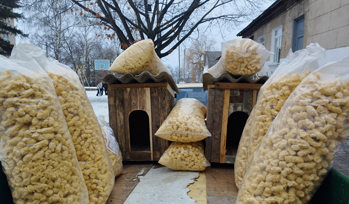 акция добрых дел